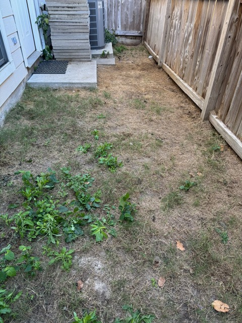 Poop Clean Up, Pooper Scooper near me, Houston Pooper Scooper, Pet Waste Clean Up, Best pooper scooper near me