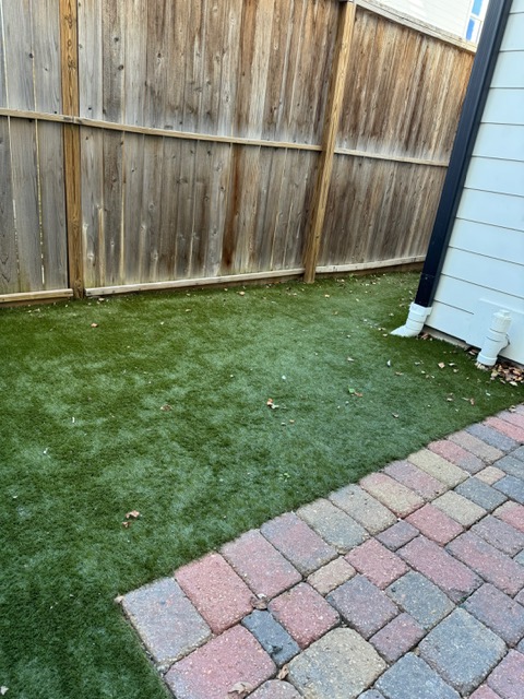 Poop Clean Up, Pooper Scooper near me, Houston Pooper Scooper, Pet Waste Clean Up, Best pooper scooper near me